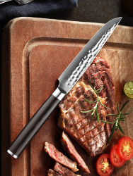 Японский кухонный стейк нож KIYOMI 12,5 см из Дамасской стали VG-10, повар, шеф